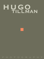 Hugo Tillman