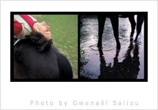 Gwenael Saliou Photographs at Europepress