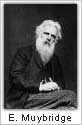 Eadweard Muybridge